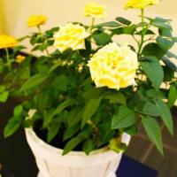 Fotos del hotel Хостел Гольяново