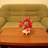 Fotos del hotel Отель Союз
