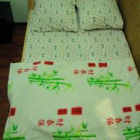 Фотографии отеля Shelter Hostel