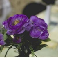 Fotos del hotel Хостел Плюс