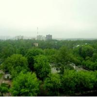 Фотографии отеля Апартаменты Золотое Колесо