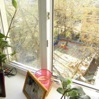 Фотографии отеля Идеал Хостел