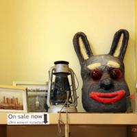 Фотографии отеля Backpacker EcoHostel