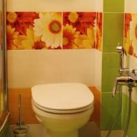 Фотографии отеля Guest House Unicorn Leningradskaya