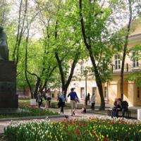 Фотографии отеля Мини Отель Бамбук
