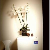 Фотографии отеля Китай-город Отель