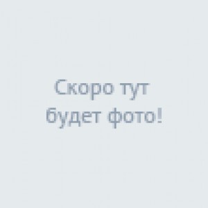 Фотографии отеля Россия